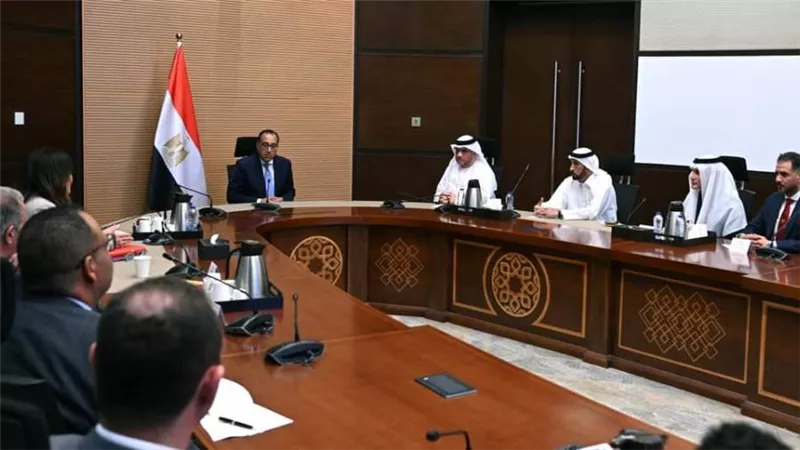رئيس الوزراء يبحث مع مسئولي إمارة الفجيرة وشركة بروج للاستثمارات والغاز خطط التوسع المستقبلية في السوق المصرية