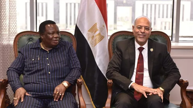 وزير العمل:  إفريقيا شريك استراتيجي لمصر بالتاريخ والجغرافيا ..وأسواق العمل الكينية مفتوحة أمام المصريين