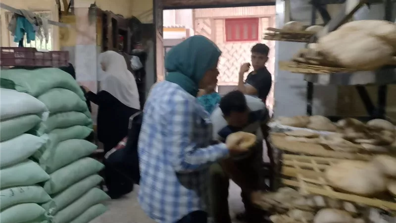 تحرير 31 محضرا تموينيا وغلق مخبز بلدي خلال حملة مكبرة على مخابز تلا بالمنوفية