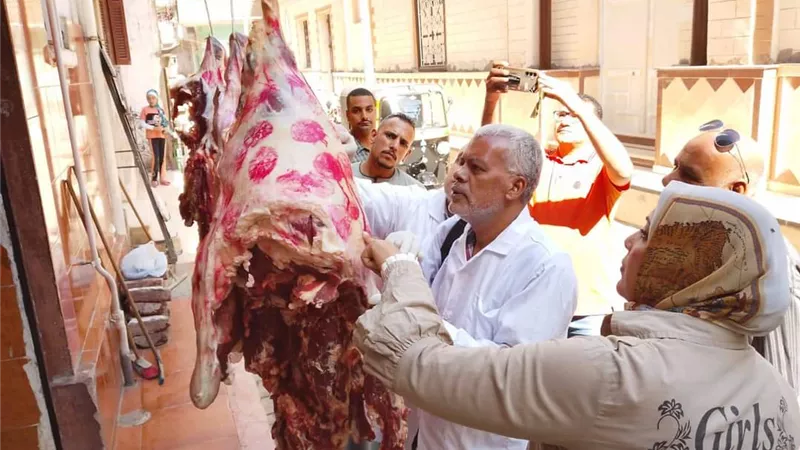 إعدام لحوم ودجاج غير صالحة للاستهلاك الآدمي خلال حملة بمدينة جرجا بسوهاج 