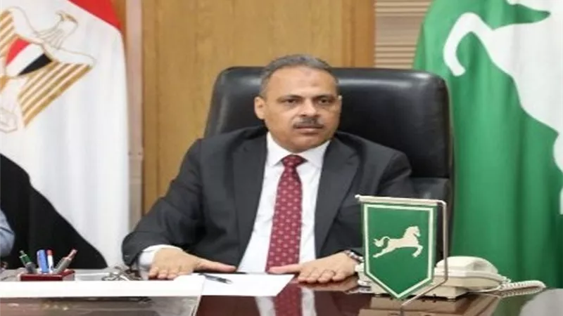 محافظ الشرقية يفتتح لوحة توزيع كهرباء 