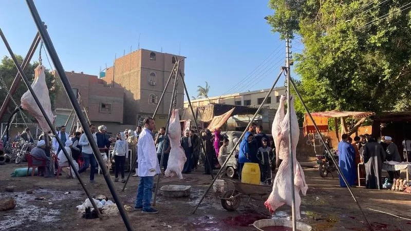 بيطري سوهاج يقود حملة كبيرة على الأسواق والمجازر بمركز المنشاة 