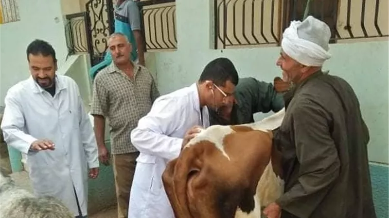 بيطري الشرقية: فحص وعلاج مواشي وطيور في قافلة بيطرية بالقرين