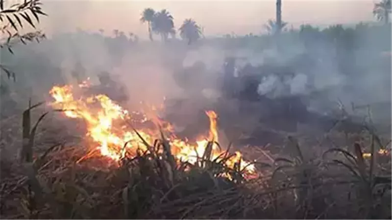 بسبب عُقب سيجارة.. اندلاع حريق في زراعات القصب بدار السلام في سوهاج
