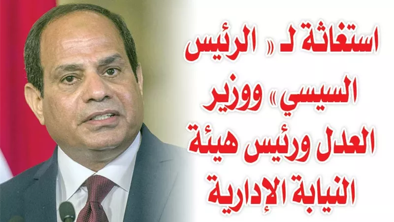 استغاثة لــ « الرئيس السيسي» ووزير العدل ورئيس هيئة النيابة الإدارية 