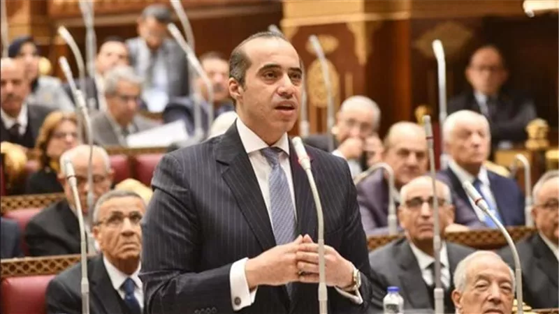 وزير الشئون النيابية: لا يوجد معتقلون في مصر.. والمحاكمات أمام القاضي الطبيعي