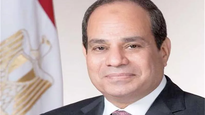 الرئيس السيسي: يجب الإسراع في إدخال المساعدات الإنسانية العاجلة لأهل غزة لمواجهة الوضع الإنساني الكارثي