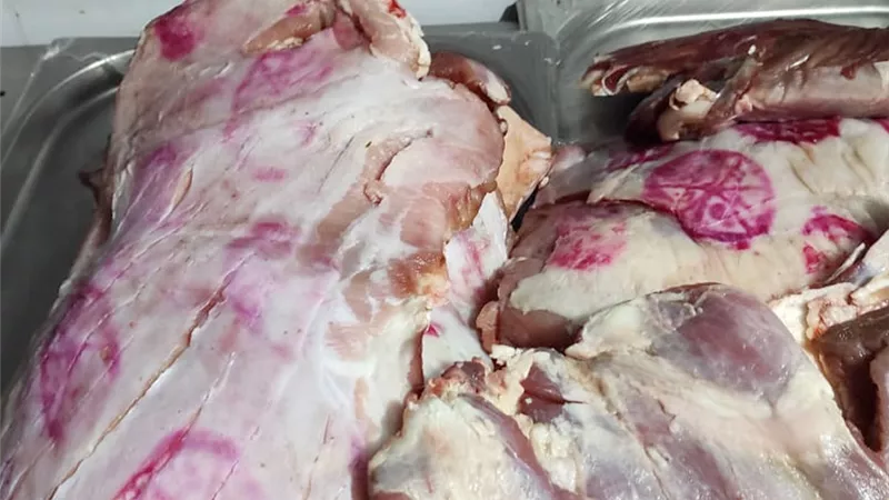 ضبط وإعدام 31 طن أغذية متنوعة ولحوم مجهولة المصدر بسوهاج 
