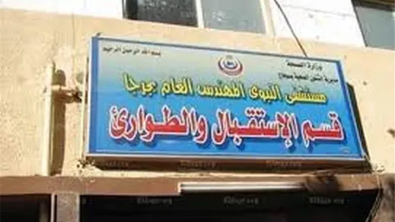 بسبب لهو الأطفال.. إصابة 3 سيدات في مشاجرة بسوهاج