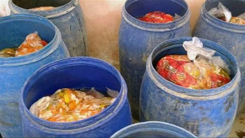 قبل طرحها بالأسواق.. ضبط 10 أطنان من المخللات الفاسدة في طهطا بسوهاج