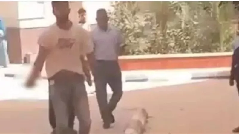 أول رد من جامعة سوهاج على الفيديو المتداول لمشاجرة طالبين بالحرم الجامعي