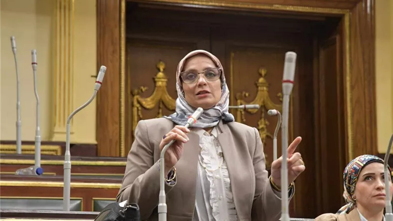 نجلاء العسيلي: مصر لن تسمح بالمزايدة على دورها في دعم غزة.. وتنظيم دخول القوافل ضرورة لحماية الأمن القومي