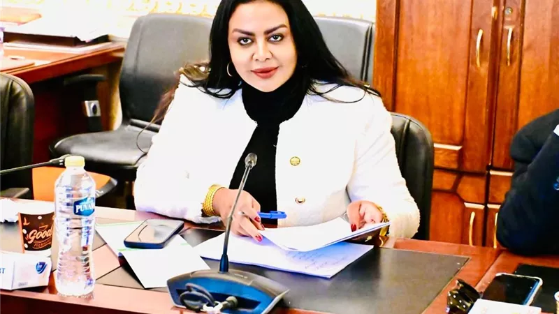 النائبة 