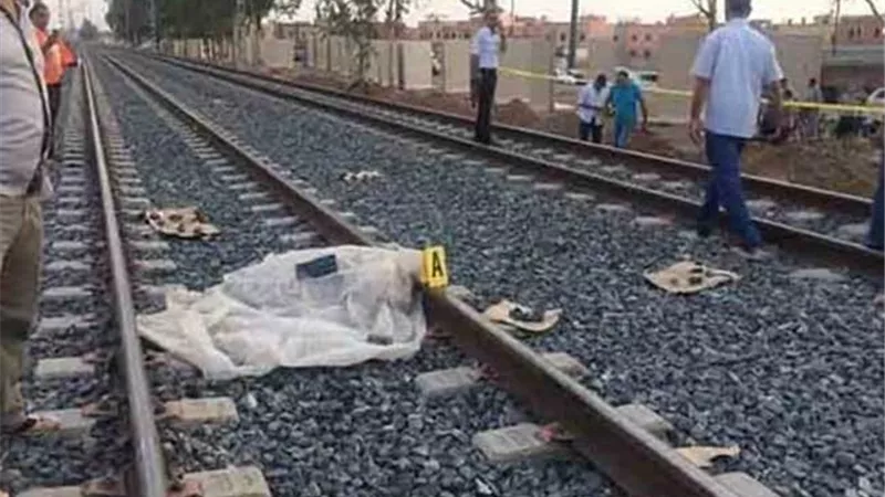 مصرع فني تحاليل تحت عجلات القطار في مركز المراغة بسوهاج