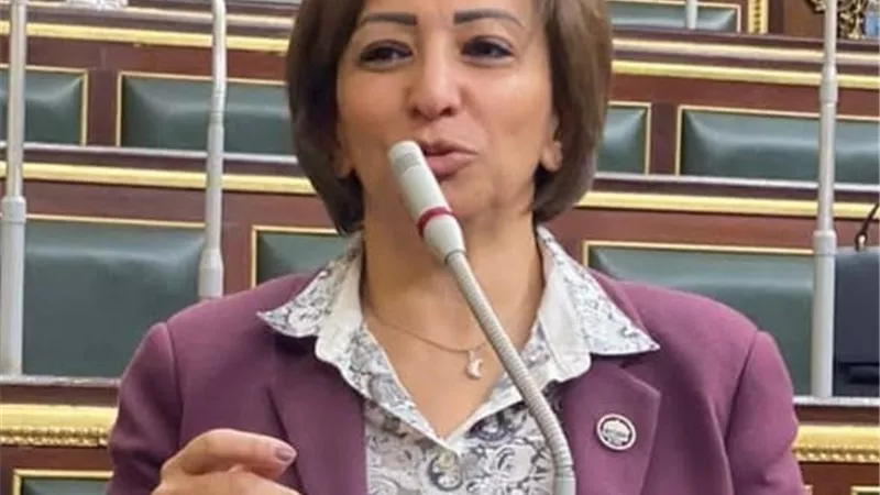 النائبة مها عبد الناصر تطالب بالكشف عن أسباب وفاة 4 أطفال أشقاء في المنيا