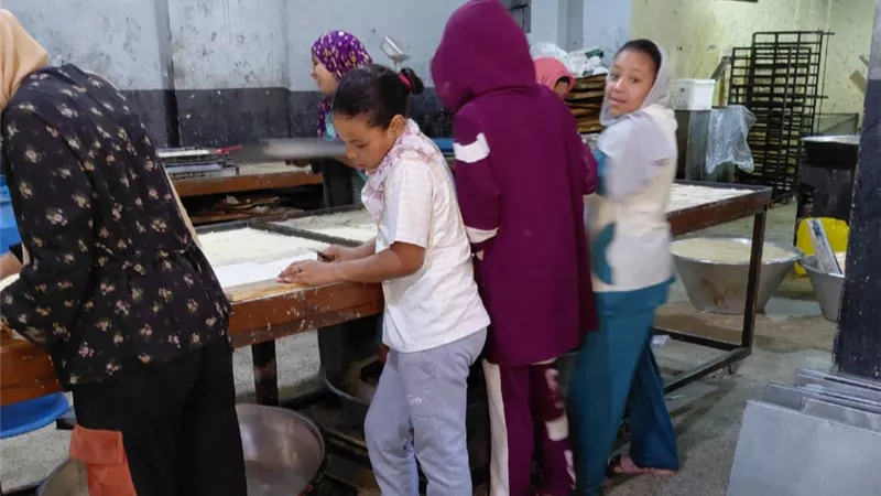 العمل بأسيوط: حملات تفتيشية لمكافحة عمل الأطفال في ابوتيج