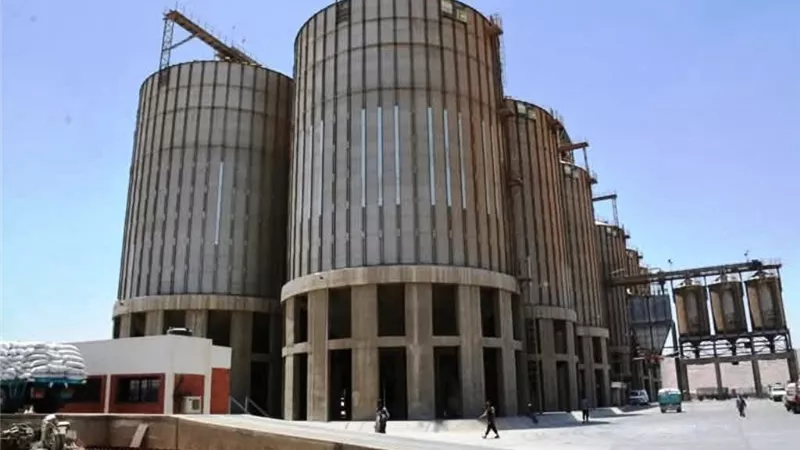 بزيادة 20% عن المستهدف.. سوهاج تنهي موسم توريد القمح بـ186 ألف طن
