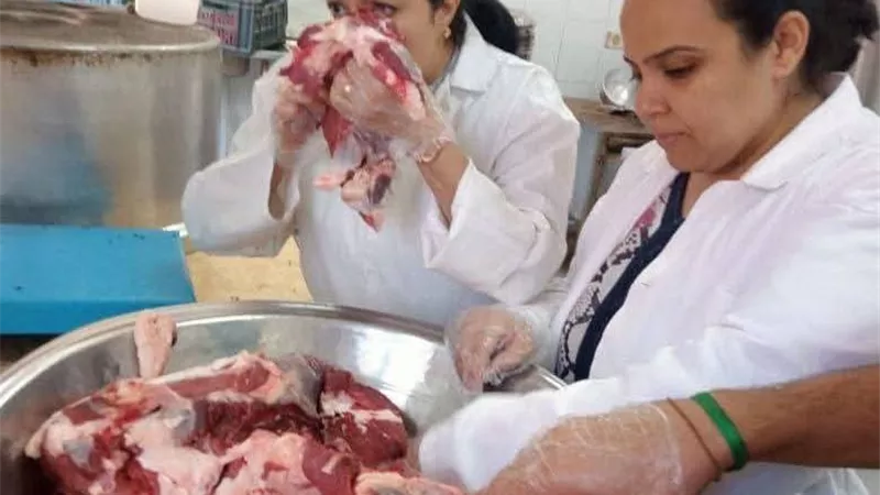 الطب البيطري بسوهاج يوزع 80 رأس أغنام للمستفيدين بعرابة أبو عزيز
