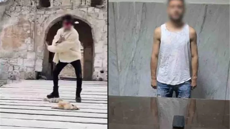 ضبط صانع محتوى بتهمة نشر مقاطع تتضمن أغاني بألفاظ خادشة للحياء بالإسكندرية
