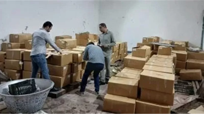 ضبط 13 طن أسماك فاسدة وعلف وسماد مدعّم في حملات تموينية مكثفة بالإسكندرية