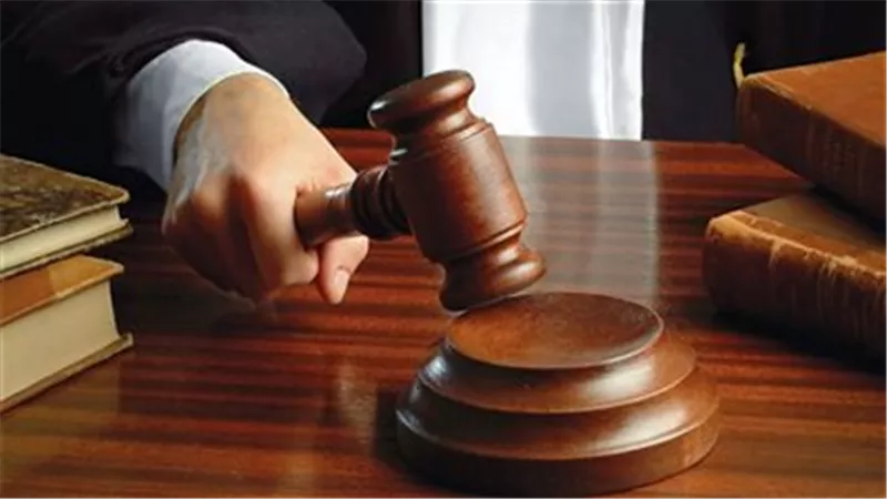بسبب خلاف على 3700 جنيه.. السجن المؤبد لنقاش قتل مسنة وأحرق جثمانها بالإسكندرية