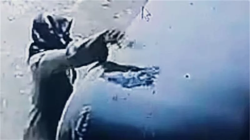 الداخلية تكشف ملابسات فيديو حرق «توك توك» بسوهاج