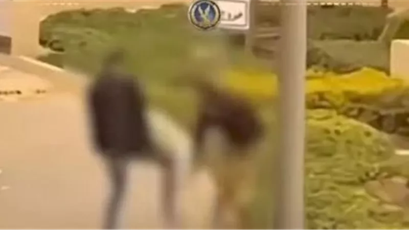 غدا.. جنح مستأنف القاهرة الجديدة تواصل نظر استئناف رجل الأعمال المعتدي على فرد أمن بالتجمع الخامس