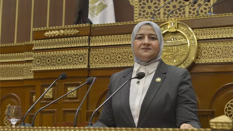النائبة الدكتورة مروة قنصوة: تطوير التعليم وربطه بسوق العمل والاستثمار في مهارات المستقبل يمثل ركيزة لبناء اقتصاد تنافسي