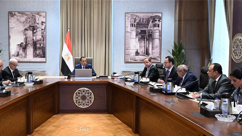 رئيس الوزراء: 20 شركة ضمن القيد المؤقت ونعمل على استكمال طرح شركات جديدة