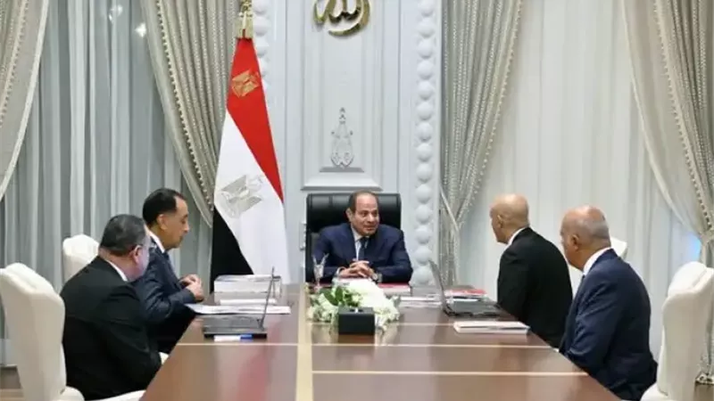 الرئيس السيسي يشدد على ضمان تطبيق الحد الأدنى للأجور في المدارس