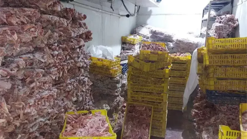 محافظ الجيزة: التحفظ على 225 طنًا من السلع المخالفة.. وتحصيل 10.3 مليون جنيه غرامات على أصحاب المخابز 
