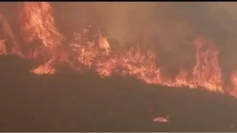 الحماية المدنية الجزائرية: إخماد 118 حريقًا من أصل 123 خلال 24 ساعة