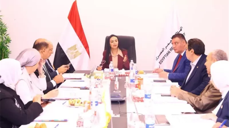 الهلال الأحمر المصري: أكثر من مليون طن مساعدات تم تسليمها إلى غزة منذ أكتوبر