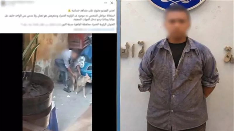 القبض على متهم بالتعدي على كلب في القليوبية 