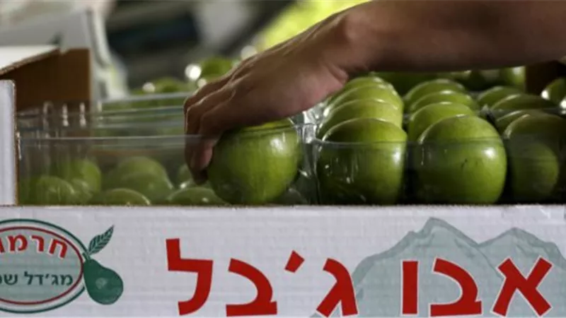 وزير الخارجية البريطاني يعلن تفاصيل حظر استيراد السلع من المستوطنات الإسرائيلية