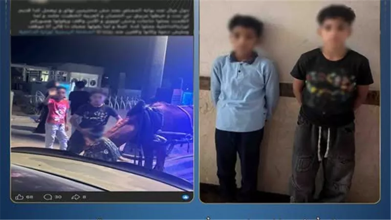 ضبط طالبين بعد ظهورهما في صورة بإشارات خادشة للحياء تجاه المارة بالقاهرة