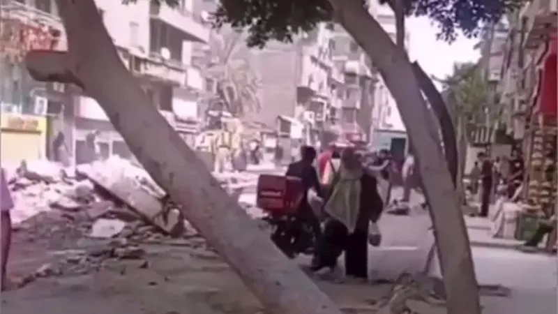 وقعت لوحدها.. محافظة القاهرة تنفي قطع شجرة في عين شمس