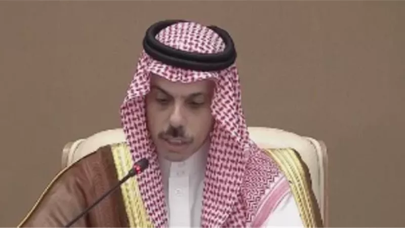 وزير الخارجية السعودى يؤكد مواصلة العمل لتحقيق سلام شامل وعادل ومستدام
