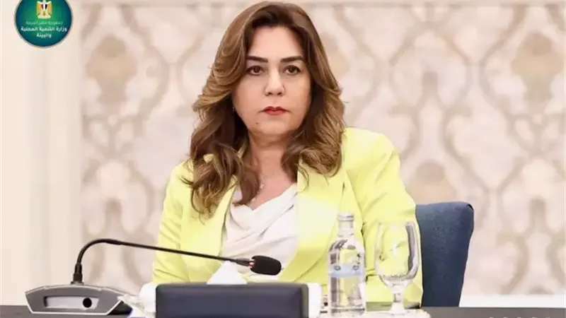 التنمية المحلية تلزم سفينة بوقف شحن مواد كيماوية تسببت في روائح غازية بميناء الدخيلة