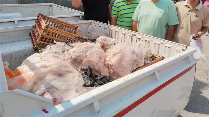 التحفظ على 500 كجم من لحوم مجمدة غير صالحة للاستهلاك في حملة  ببني سويف 