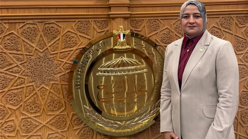عقب تجديد الثقه النائبه  مروة قنصوة: لجنة الطاقة دعم الطاقة المتجددة وكفاءة الاستهلاك وتعزيز فرص العمل ضمن أولوياتى فى دور الانعقاد الجديد