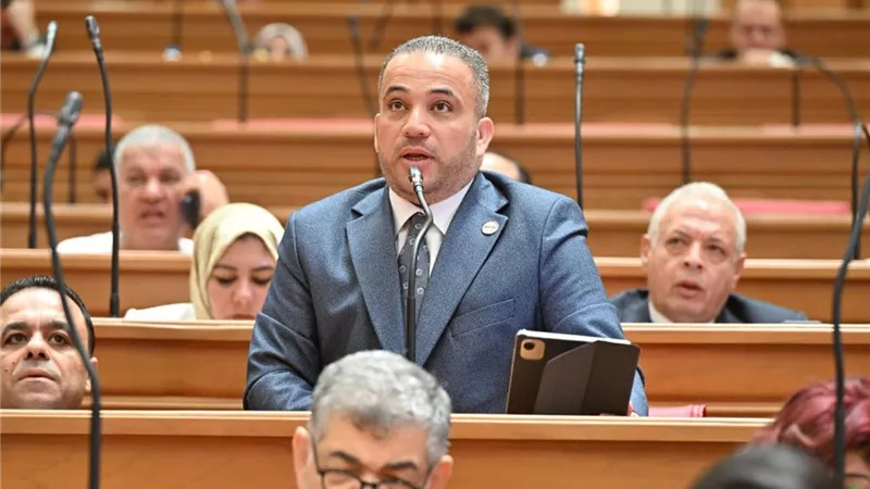 النائب هاني شحاتة: الشراكة الاستراتيجية مع كوريا تعزز فرص التعاون في البنية التحتية والمدن الذكية وتوطين التكنولوجيا