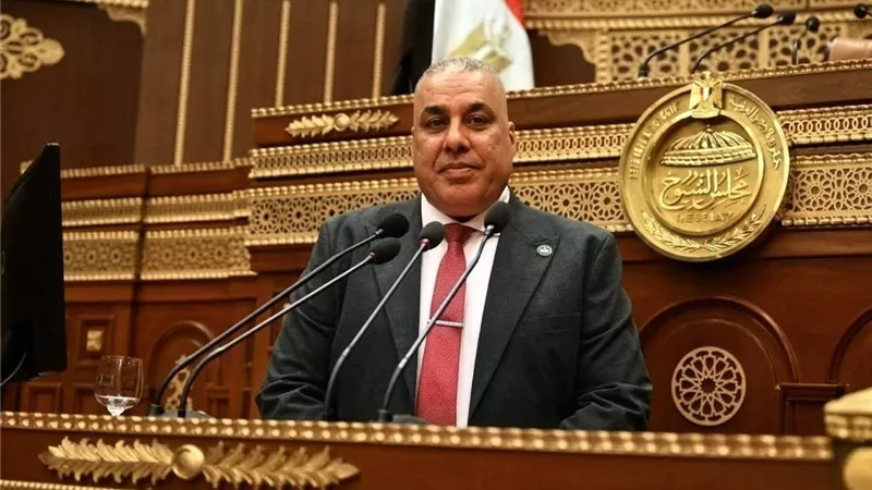 النائب محمد أبو النصر: الجولة الآسيوية للرئيس السيسي تفتح مسارات جديدة للتعاون الاقتصادي والاستثماري وتعزز قدرة الاقتصاد الوطني