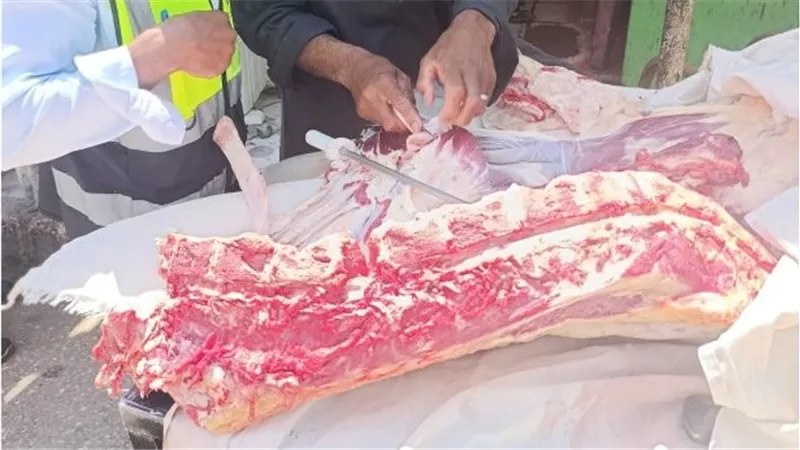 حملات لسلامة الغذاء بالمحافظات تشمل 229 مركزًا وحيًا من خلال 31 فرعًا