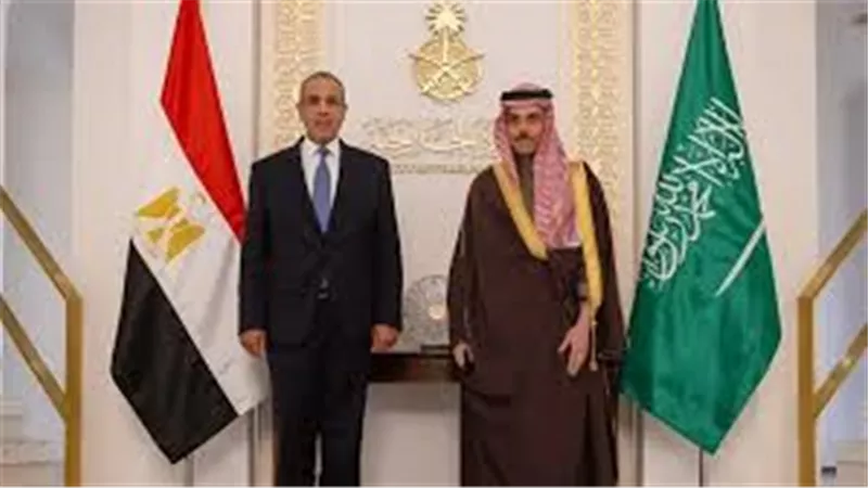 وزير الخارجية: مستعدون لتقديم كافة أشكال الدعم والاستجابة لأي طلبات من الجانب السعودي