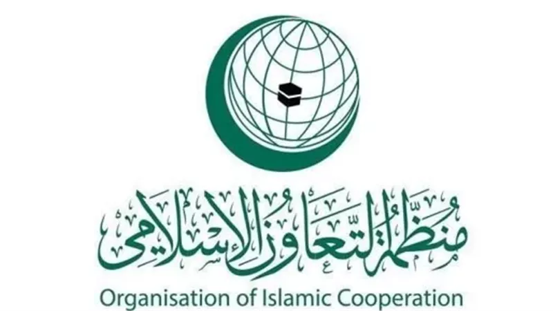 التعاون الإسلامي تقرر تأسيس المجلس الوزاري للأمن السيبراني