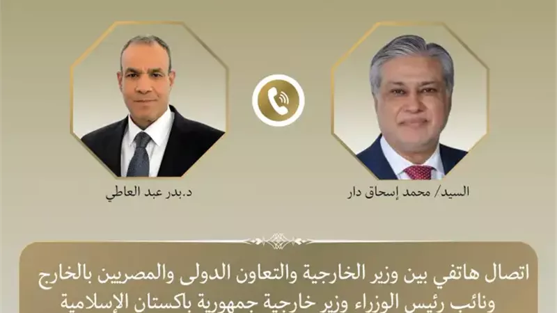 وزير الخارجية ونظيره الباكستاني يبحثان جهود خفض التصعيد واستعادة التهدئة بالمنطقة