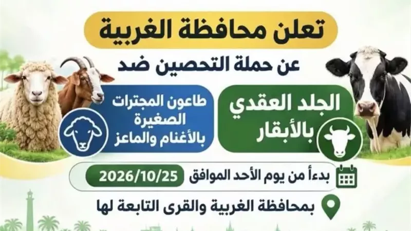 محافظ الغربية يعلن انطلاق الحملة القومية الثانية للتحصين ضد الأمراض الوبائية غدًا الأحد